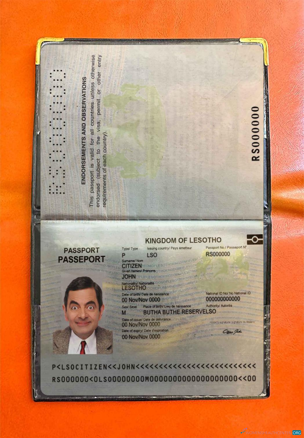 Download Lesotho Pass photo look Photoshop template